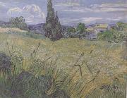 Vincent Van Gogh Green Wheat Field with Cypress (nn04) Spain oil painting reproduction